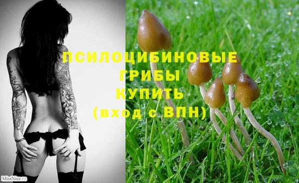 винт Бородино
