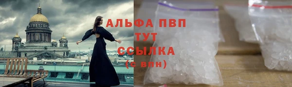 винт Бородино