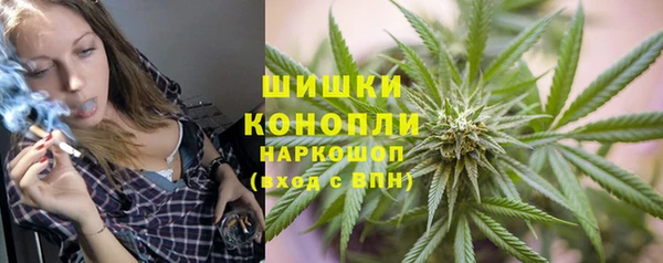 винт Бородино