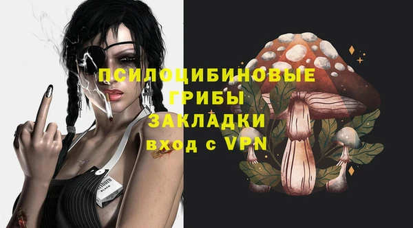 винт Бородино